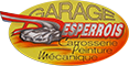 logo-garage-60.png Logo de GARAGE DESPERROIS à PLASNES
